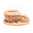 Dental LCD Resin - Model